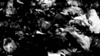 Milla Jovovich Gentleman Who Fell