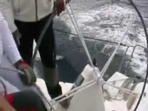 Felicita - Komiska regata 2009 - Etapa: Komiza - Split