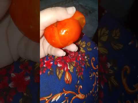 summer fruit 🤤 #food #trendingshorts #cooking