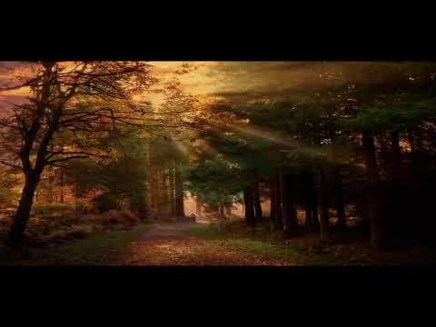 Boom Jinx vs Adam Beyer - To The Six (Matt Lange Remix)