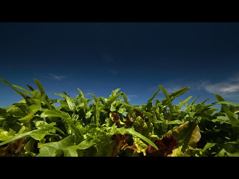 Using a polarizing filter