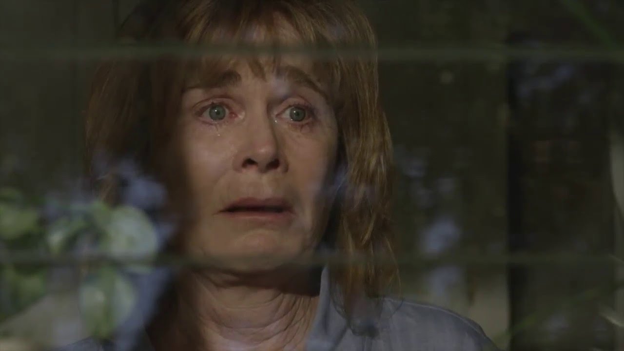 Trailer - Harvey's Dream (2016)