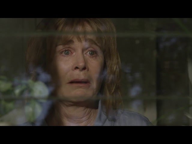 Trailer - Harvey's Dream (2016)