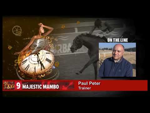 PEN PIC MAJESTIC MAMBO