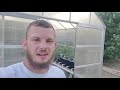 Harbor Freight Greenhouse & Hydroponics Overview