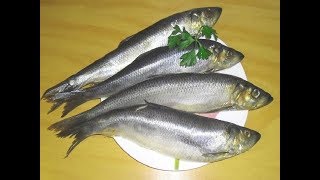 Ловля сельди в селе калининское на дону