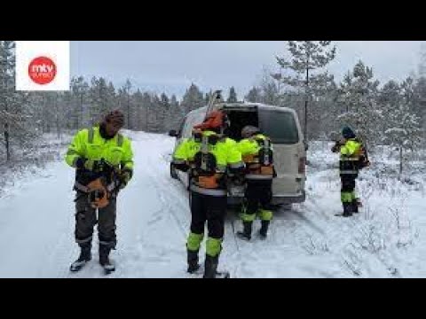 Metsolan Metsäkoulu 279 - ammattimetsuriksi 3 kuukaudessa?