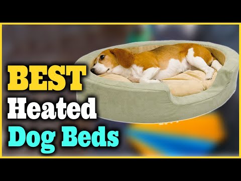 Best Heated Dog Beds 2022 [Top 5 Picks]