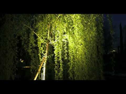 Lunos Mini Floodlight