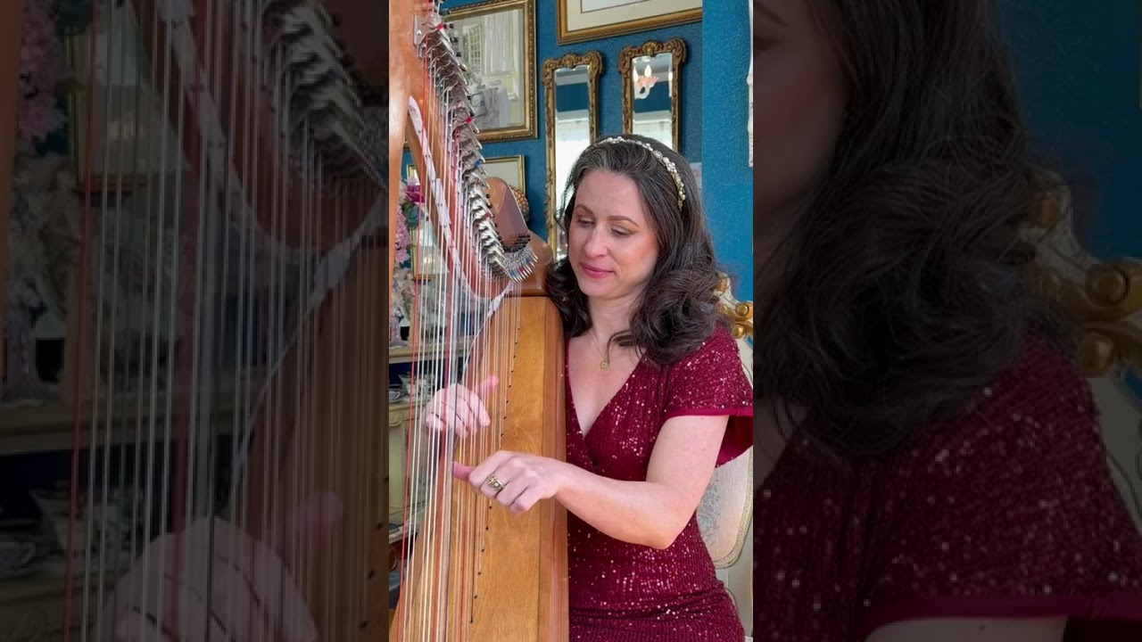 Promotional video thumbnail 2 for AureliHarp