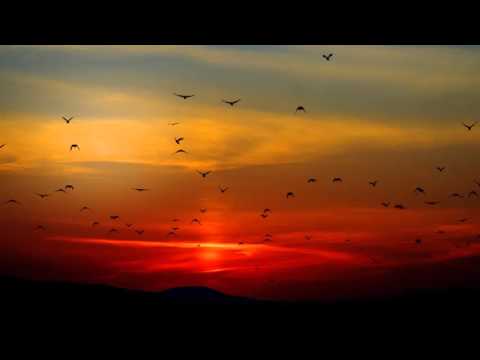 download lagu mp3 mp4 Hlne Faure, download lagu Hlne Faure gratis, unduh video klip Hlne Faure