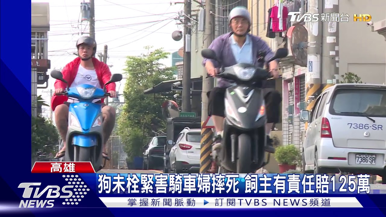 狗未栓緊害騎車婦摔死 飼主有責任賠125萬
