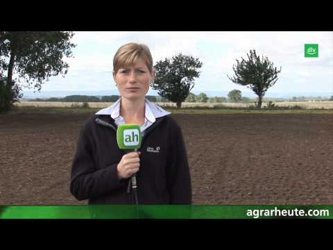 Vegetationsreport 2012: Hohe Erträge in der Wintergerste erzielen