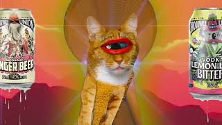 Brookvale Union... Tasting is Believing