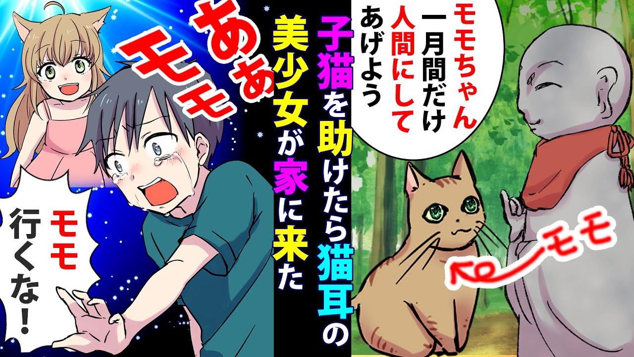 【漫画 感動泣ける話】 猫の恩返し 助けた子猫が他界して一年後可愛い猫耳少女が家に来た。一月後知った少女の秘密に涙【マンガ動画】