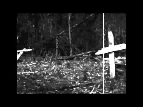 Video thumbnail for If I Die