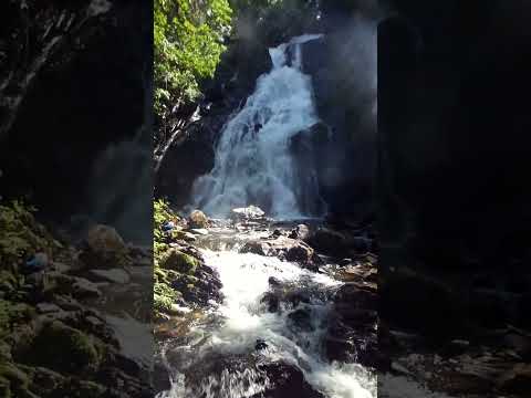 Cachoeira Da Figueira (Queda Maior) - Doutor Ulysses, PR (Parte 1)