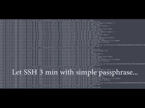 Honeypot Cowrie Dockerised for 3 min