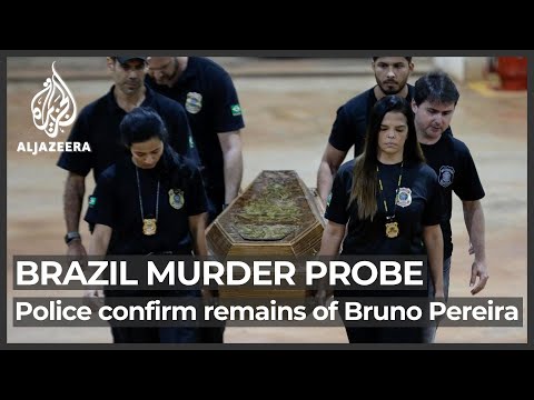 Brazil: Remains of indigenous expert Bruno Pereira identified