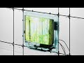 Mild Minds - 'TEARDROPS' (Official Audio)