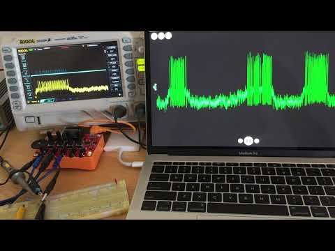 Hodgkin-Huxley model on Arduino UNO
