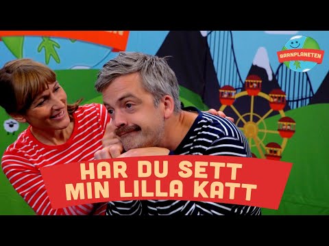 Kompisbandet - Har du sett min lilla katt