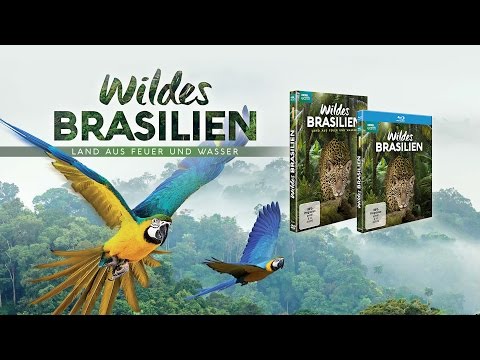 Wildes Brasilien BBC - Trailer [HD] Deutsch / German