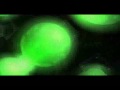 Shrek The Musical Trailer 01