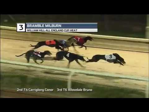 WILLIAM HILL ALL ENGLAND CUP - HEAT 4 - T3 BRAMBLE MILBURN