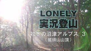 【ロンリ～実況登山】感動！光の山道。初冬の沼津アルプス縦走３・鷲頭山編