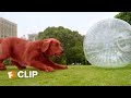 Clifford The Big Red Dog Exclusive Movie Clip No Fetch 2021 Fandango Family