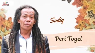 Download lagu Sodiq - Peri Togel mp3