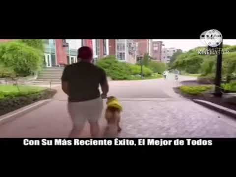 Fiestas Gachala Cundinamarca Festival náutico turístico paracaidismo regatas RH Positivó orquesta