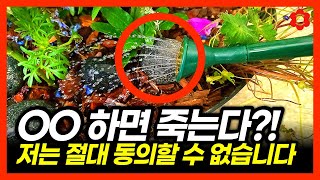 [2023년 여름] 역대급 무더위와 역대급 장마, 모르면 망하는 여름철 식물관리 방법ㅣ잘못 알고있는 식물 관…