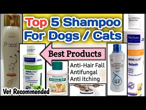 top 5 shampoo for dogs/cats || shampoo for dogs || 100 % Resulted || vet recommended || Ketochlor