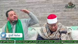 40- د – أحمد البهي . ما بعد معركة كربلاء (مولد السيدة زينب)(ساحة الدح )(2023)