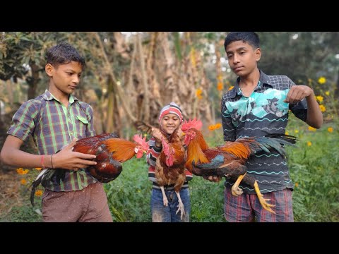 Village style catching cock, wild chiken trap, how to trap wild chicken, catching cock,