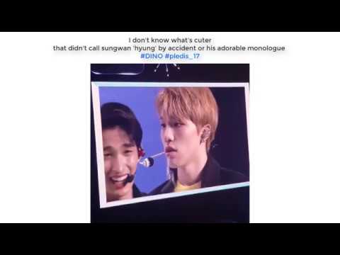 SVT Dino Vines because our diamond maknae deserves it