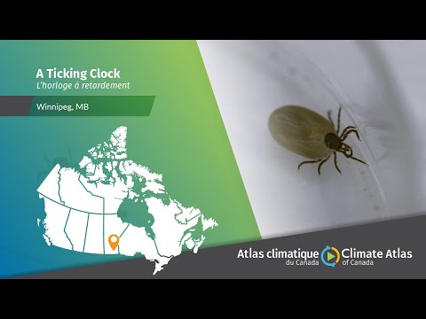 A Ticking Clock: Lyme disease, climate change, and public health