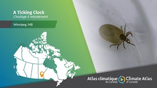 A Ticking Clock: Lyme disease, climate change, and public health