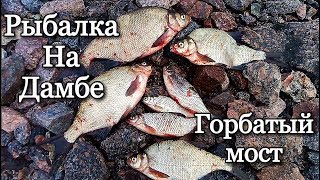Рыбалка на дамбе сегодня северная сторона