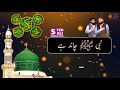 Har Sahabi Nabi Jannati Jannati By || Hafiz Tahir  Qadri || Whatsapp Status