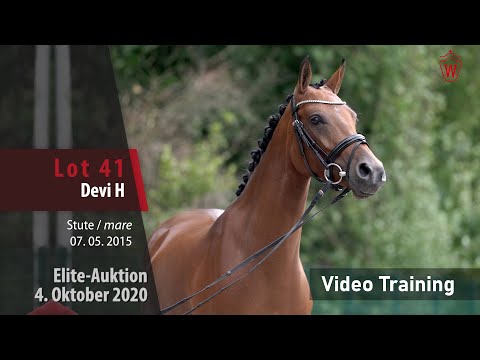 Elite-Auktion 4. Oktober 2020 Lot 41 Devi H v. D-Day AT/Principal Boy  – Trainingsvideo