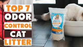 Say Goodbye to Cat Odor: 7 Best Litters for Odor Control