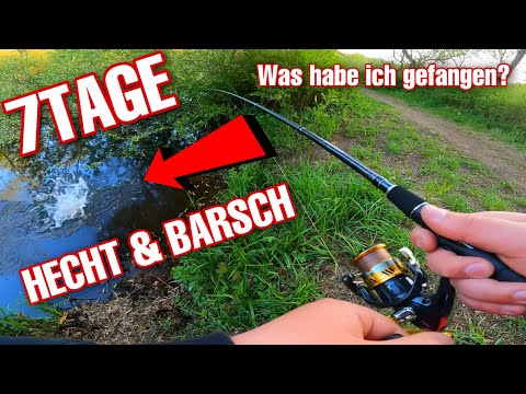 7 Tage Angeln auf HECHT & BARSCH! Was habe ich GEFANGEN? | Jonas Allround