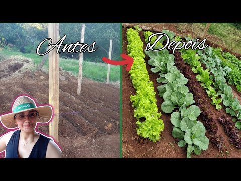 Como fazer uma horta do zero - Preparação do solo + dicas.