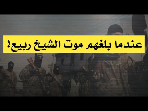 عندما بلغهم موت الشيخ ربيع!