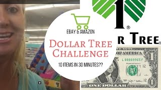 Dollar Tree Challenge | Can I find 10 profitable items to sell on ebay and amazon in 30 minutes?