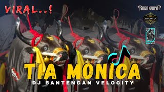 Download lagu DJ BANTENGAN TIA MONIKA‼️(LAMPU KAKA VIRAL VELOCITY 2025) mp3 Download lagu DJ BANTENGAN TIA MONIKA‼️(LAMPU KAKA VIRAL VELOCITY 2025) mp3