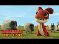 Befriending A Fire Dragon DRAGONS RESCUE RIDERS
